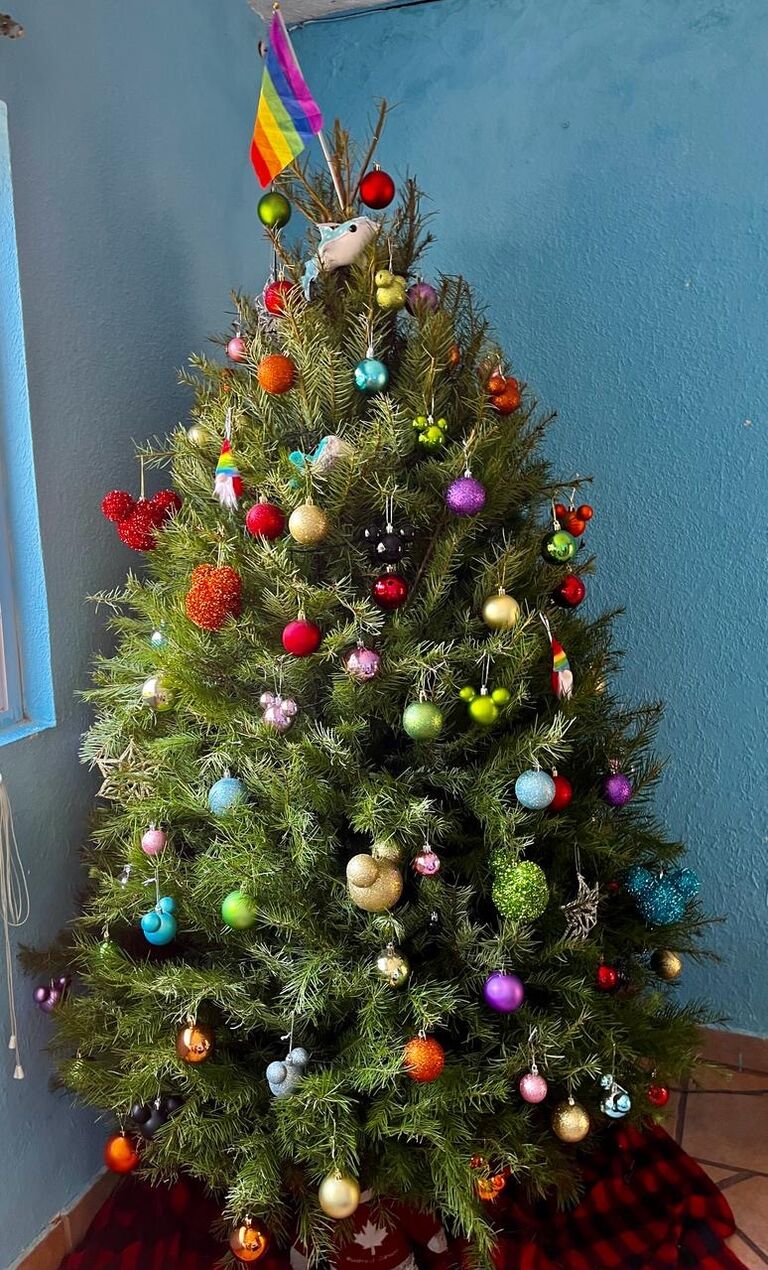 Decorating our first tree together <3 
/ Decorando nuestro primer árbol de navidad