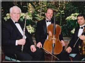 All Seasons Ensemble - String Quartet - Albany, NY - Hero Gallery 2