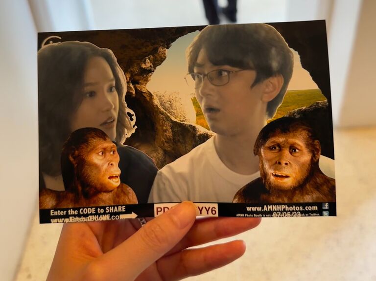 🐒 American Museum of Natural History