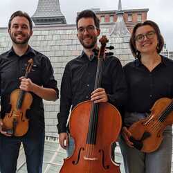 Skydome String Quartet, profile image