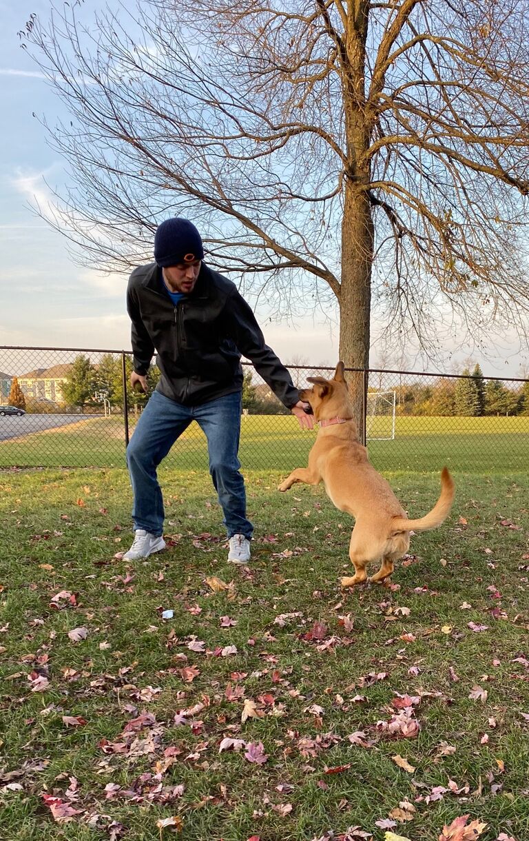 Moved out of our 1st Apartment, and into our 2nd apartment. Kyle and Hazel testing out the dog park. About 2 years 10months. 