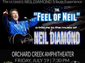 Steve Waddington "Dino, Diamond & Cash" - Neil Diamond Tribute Act - Los Angeles, CA - Hero Gallery 4