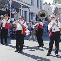 Grand Isle Fire Brigade, profile image