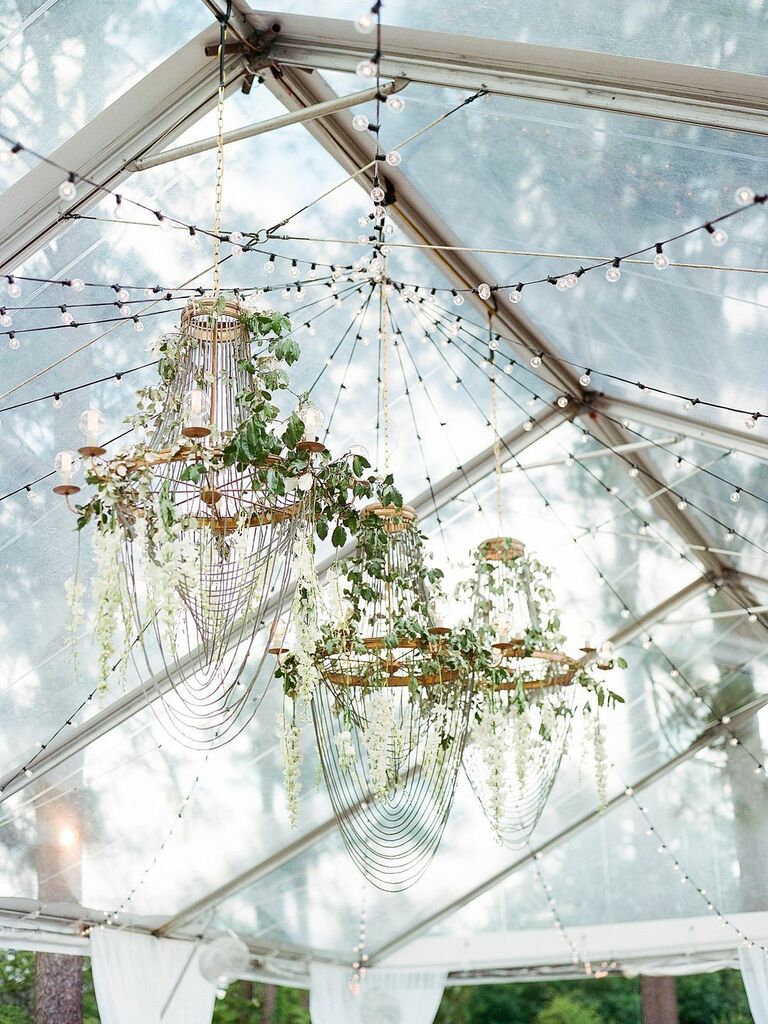 three gold antique style chandeliers hanging from clear top reception tent decorated with greenery vines