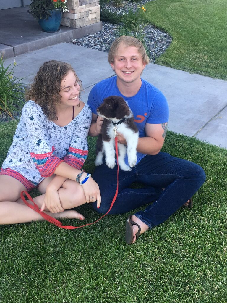 Connor's sibling, Madi, as a puppy