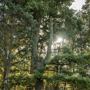 Gallery Photo 20