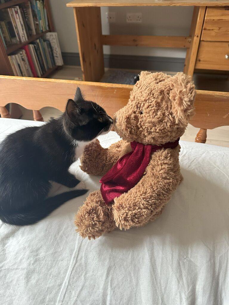 Minnie joined the family!