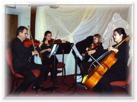 Star String Quartet - String Quartet - Grosse Pointe, MI - Hero Gallery 3