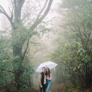 Gallery Photo 11