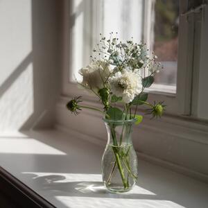 Gallery Photo 19