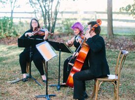 Ninja Strings - String Quartet - Richmond, VA - Hero Gallery 2