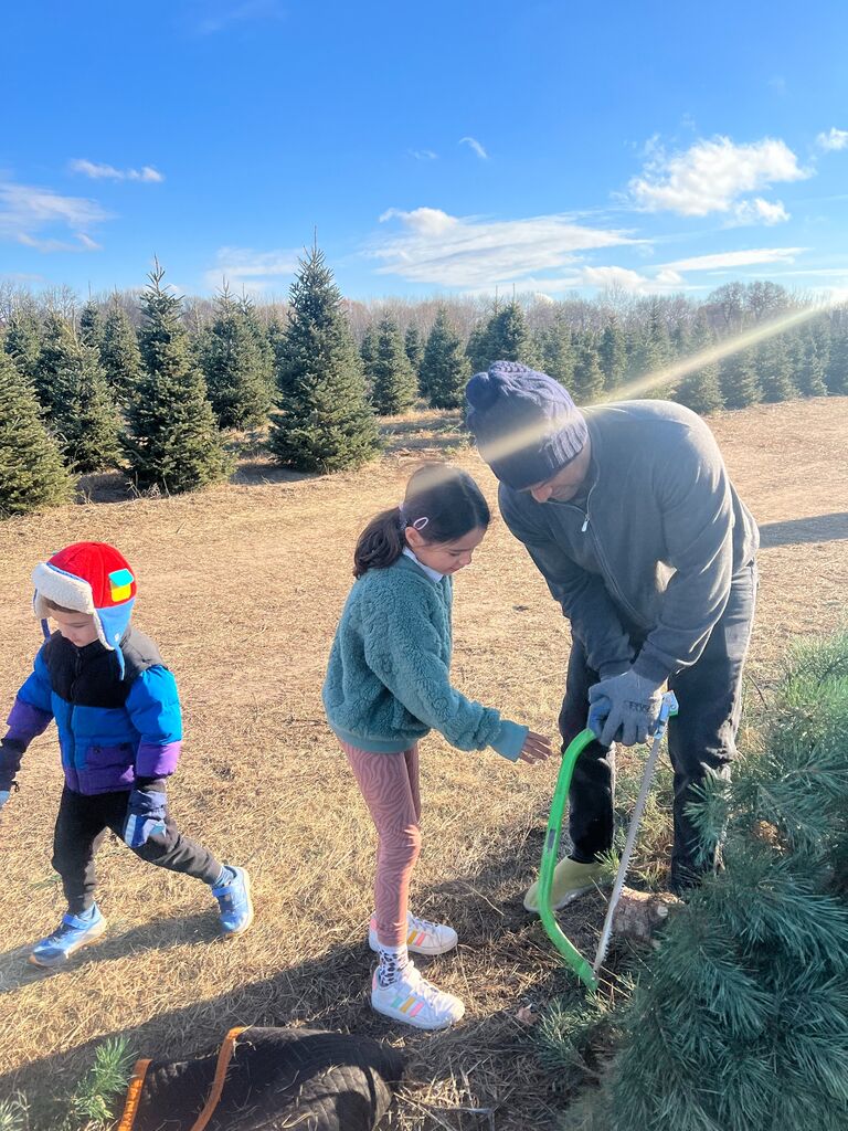 A family tradition started in Minnesota, cutting down our own Christmas tree each year.