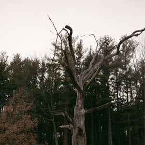Gallery Photo 19