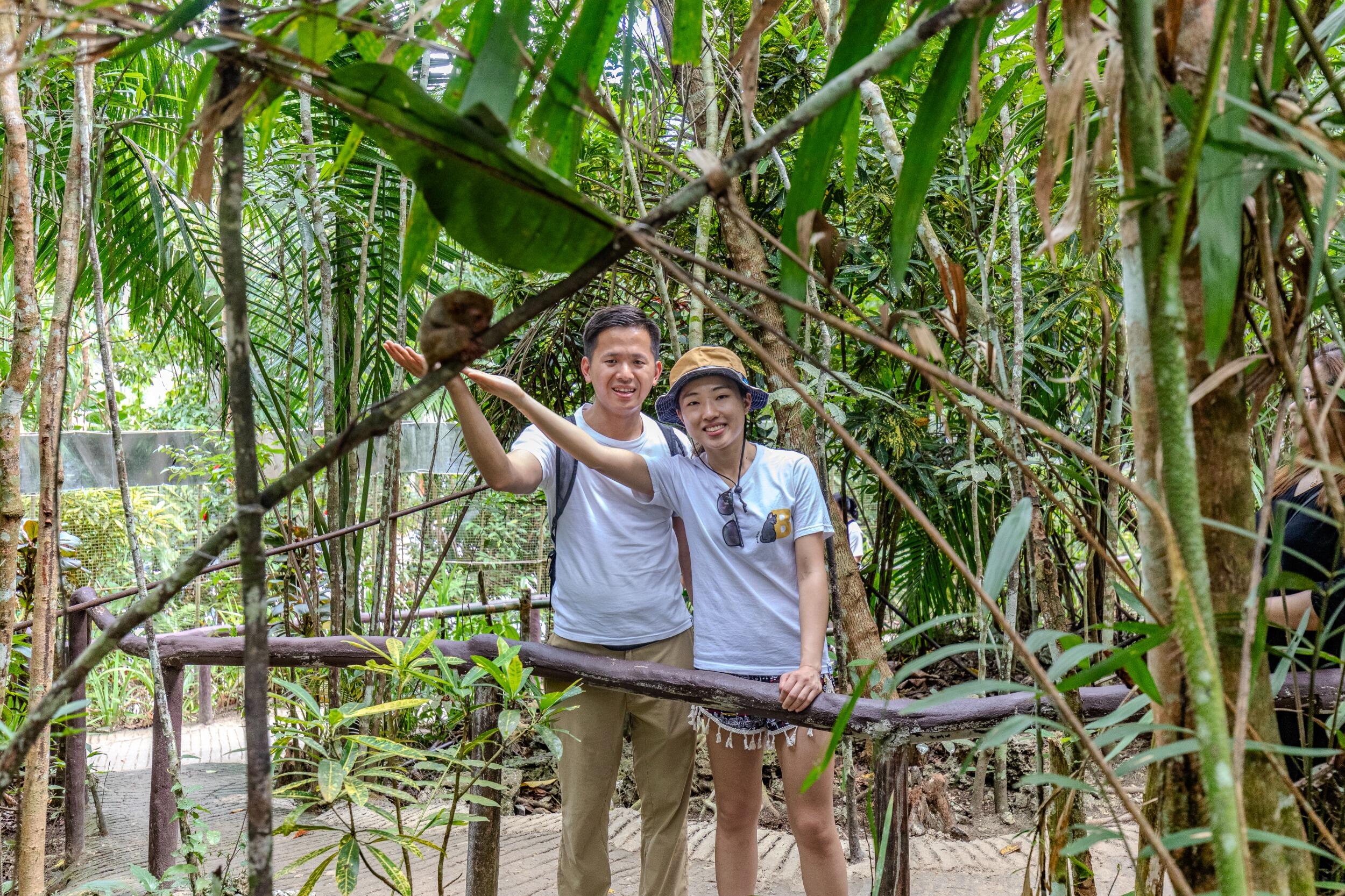 Cute tarsier in Panglao, Philippines 🇵🇭 
