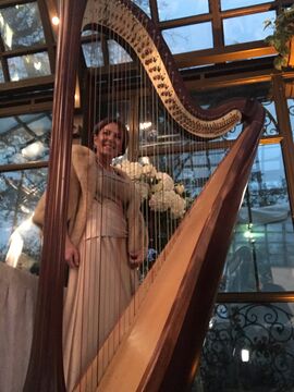 Susan Schnorr HARPIST  - Harpist - Conroe, TX - Hero Main