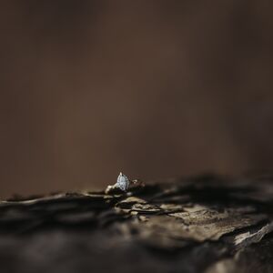 Gallery Photo 11