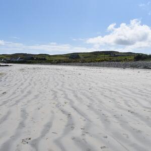 Gallery Photo 7