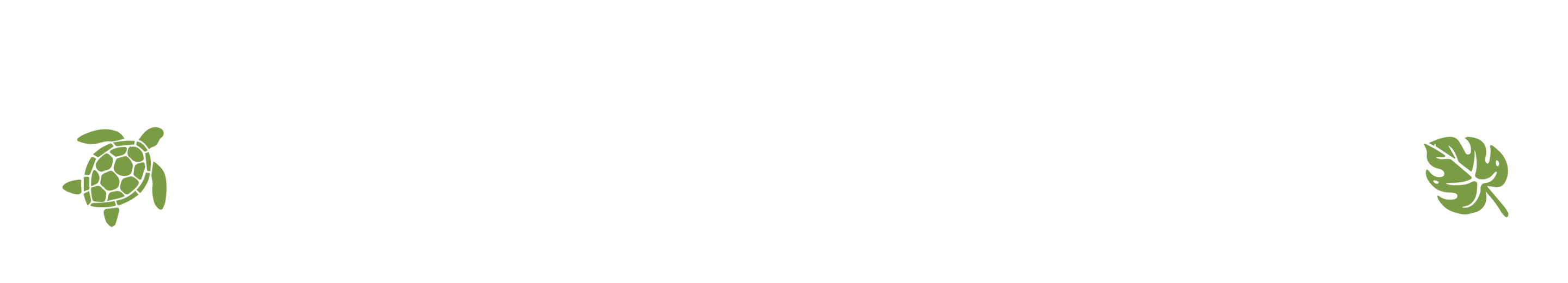 Bottom Theme Image