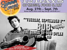 BOB! (The Music of Dylan) - Tribute Band - Minneapolis, MN - Hero Gallery 2