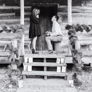 Gallery Photo 16
