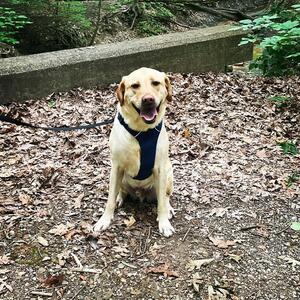 Gallery Photo 9