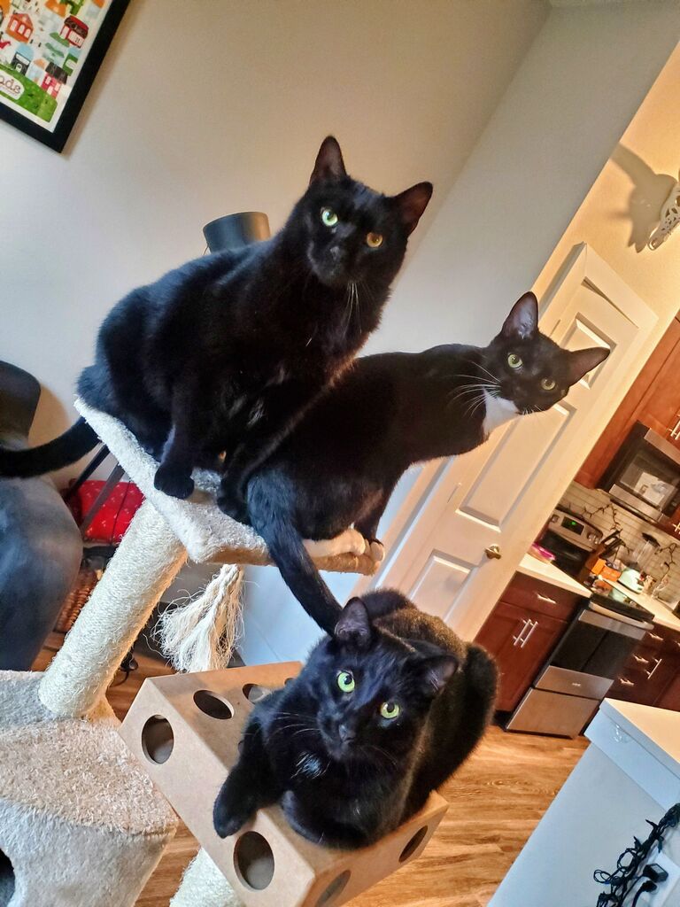 Our little family is complete. <3