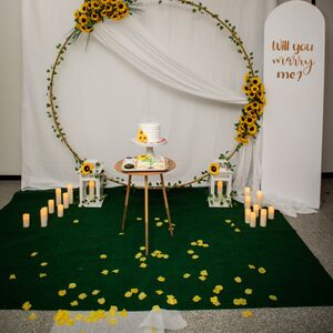 Gallery Photo 7