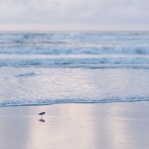 Gallery Photo 20