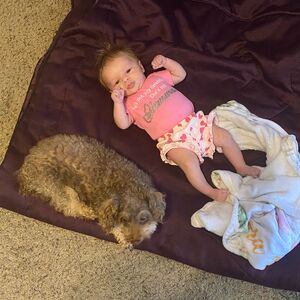 Gallery Photo 48