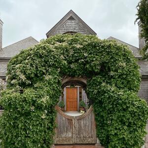 Gallery Photo 15