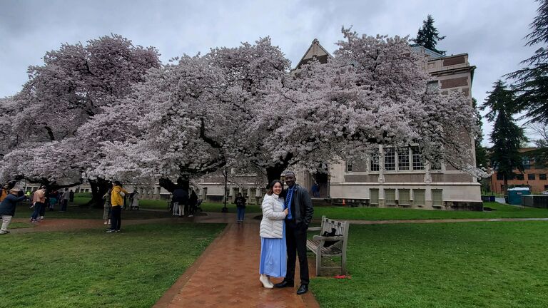 Seattle Cherry Bossoms 🌸