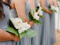 A wedding party lines up with their petite and beautiful white orchid bouquets.