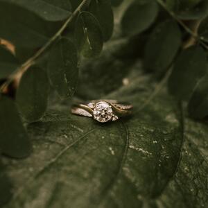 Gallery Photo 44