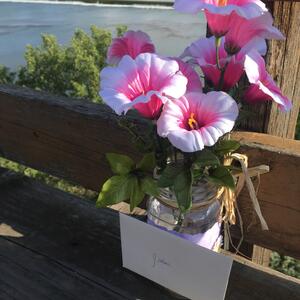 Gallery Photo 8