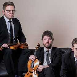 Olde Pink String Quartet, profile image