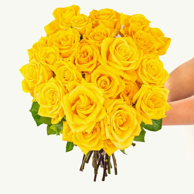 Bouquet of yellow roses