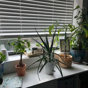 Gallery Photo 15