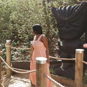 Gallery Photo 41