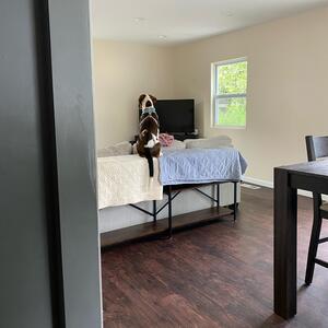 Gallery Photo 40