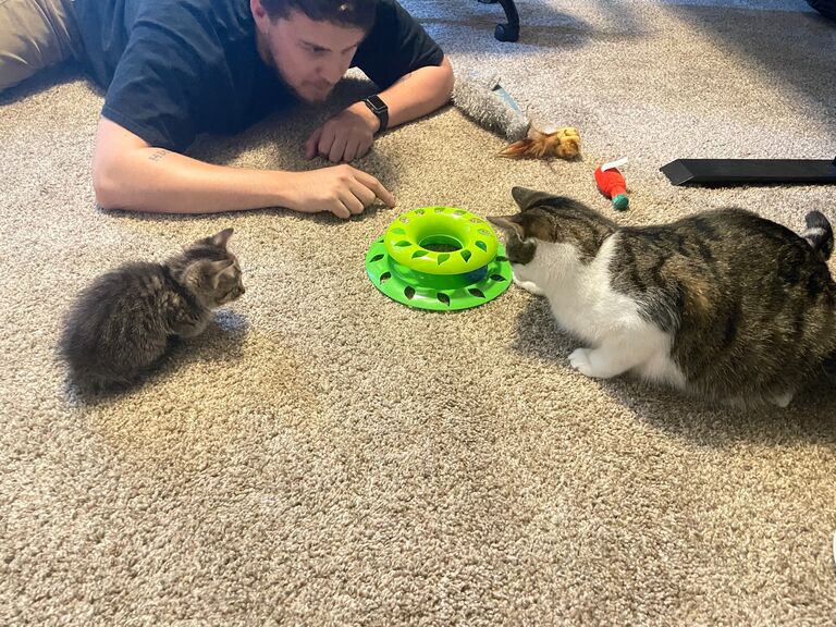 Obi needed a friend, so we added Ani to our little family.