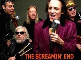 The Screamin' End - Oldies Band - Chicago, IL - Hero Gallery 1