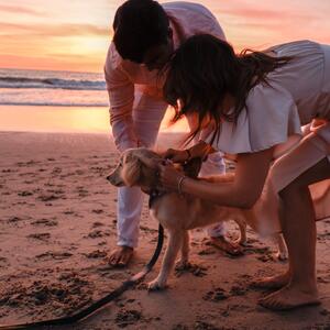 Gallery Photo 48