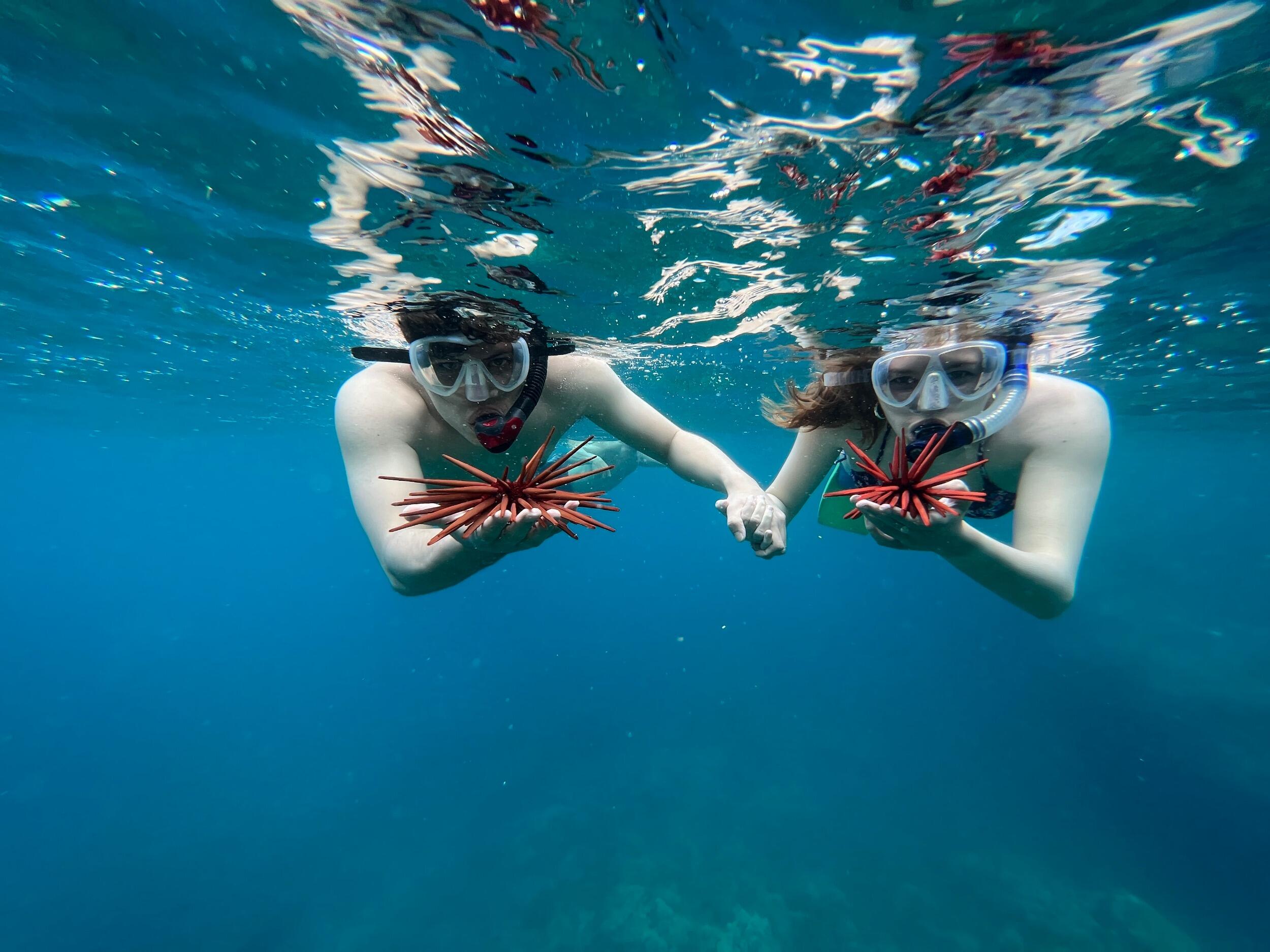 Snorkeling in Maui