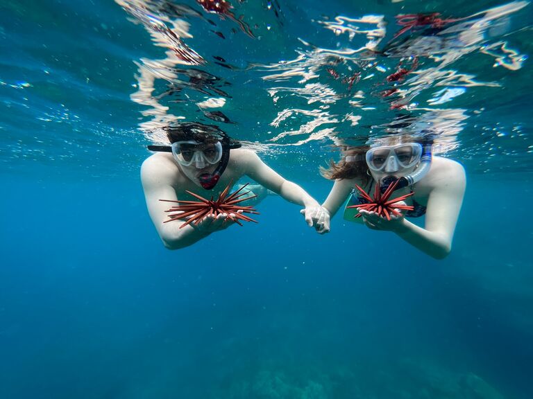 Snorkeling in Maui