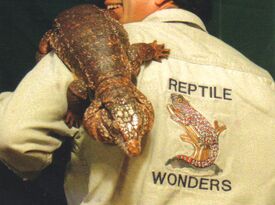 Reptile Wonders-The Nature Center on the Go - Animal For A Party - Westminster, MD - Hero Gallery 2