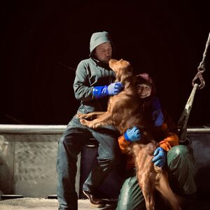 Gallery Photo 81