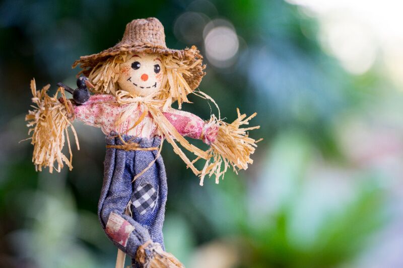 The Wizard of Oz theme party - mini scarecrow craft