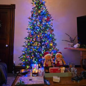 Gallery Photo 2