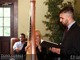 Beautiful Harp Music - Harpist - Reading, PA - Hero Gallery 4