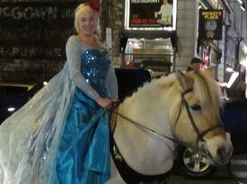 Hill City Ice Queen - Princess Party - Cooperstown, NY - Hero Gallery 3